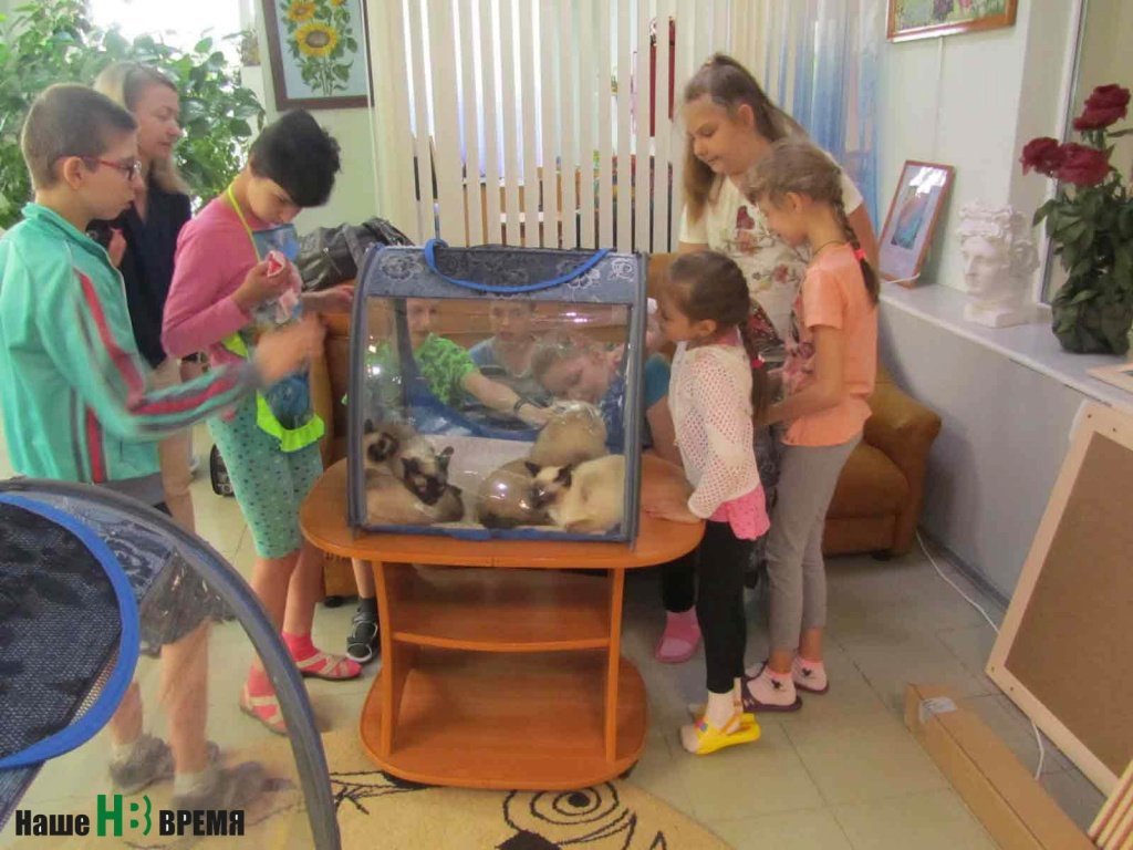 В реабилитационном центре «Добродея» для детей с ограниченными возможностями здоровья каждой встречи с кошками-крошками с нетерпением ждут все воспитанники.