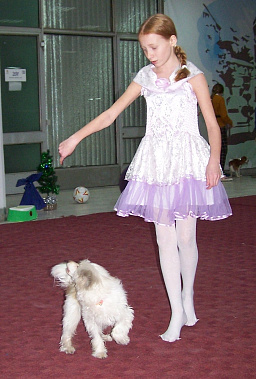 Танцы с собаками