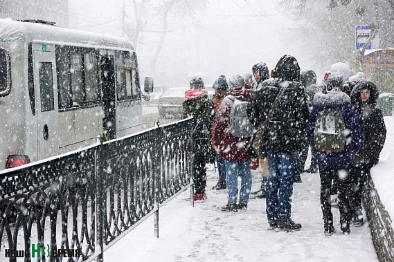 В администрации Ростова считают, что ситуация с общественным транспортом города стабилизировалась