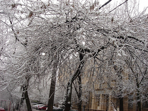 Ростовскую область скоро снова завалит снегом