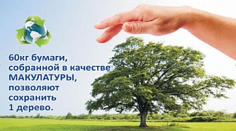 Сдай бумагу - спаси дерево!