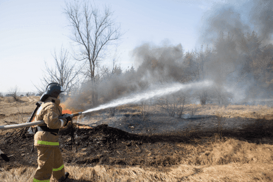 Более 40 гектаров леса выгорели в Верхнедонском районе из-за грозы