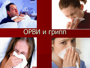 Заболеваемость гриппом и ОРВИ на Дону: динамика обнадеживающая