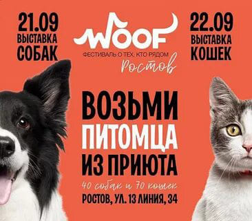 21 и 22 сентября в Ростове пройдет самый человечный фестиваль для животных из приютов