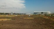 Будут ли цвести олеандры в центре Ростова?