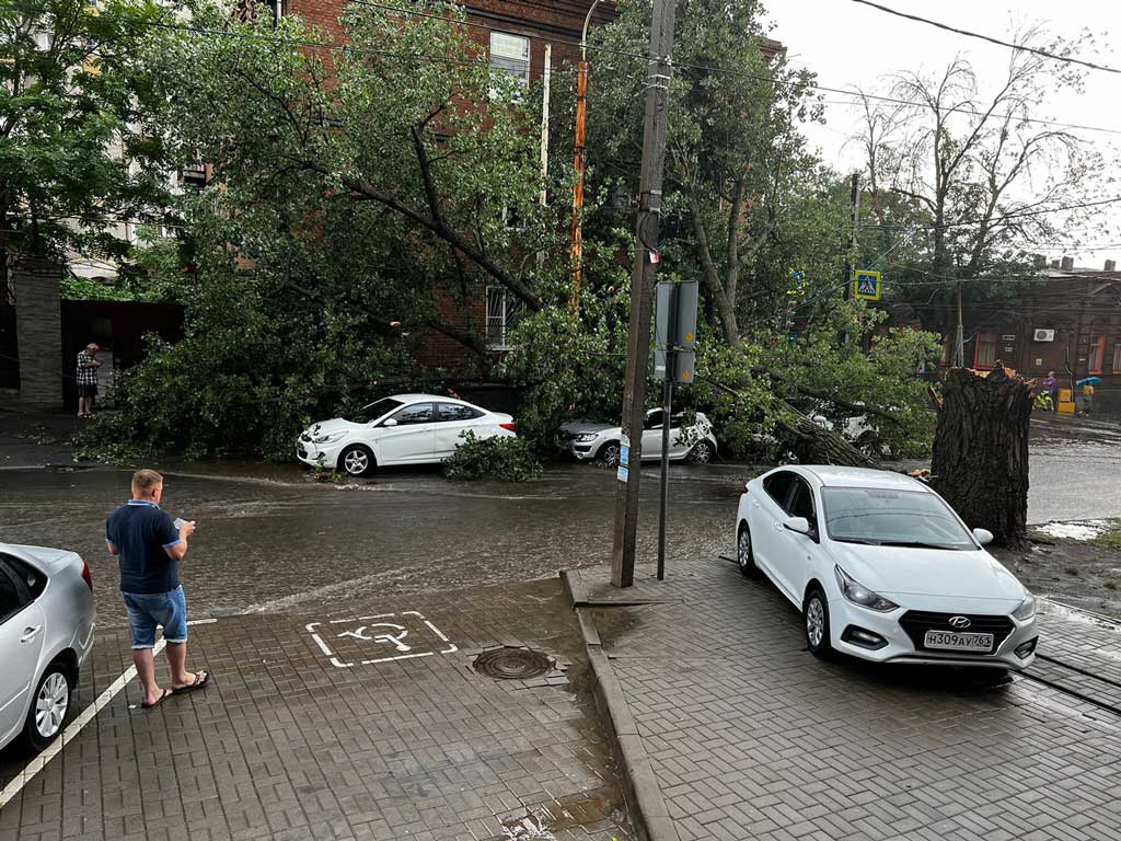 У поликлиники водников в Ростове-на-Дону старый тополь рухнул на машины