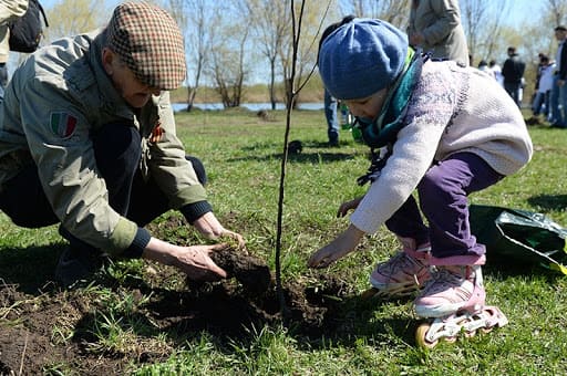 В Ростовской области стартовала международная акция «Сад памяти»