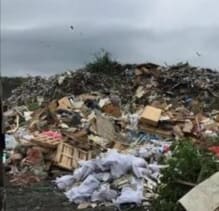 В Ростовской области Росприроднадзор осмотрел "вредные" объекты