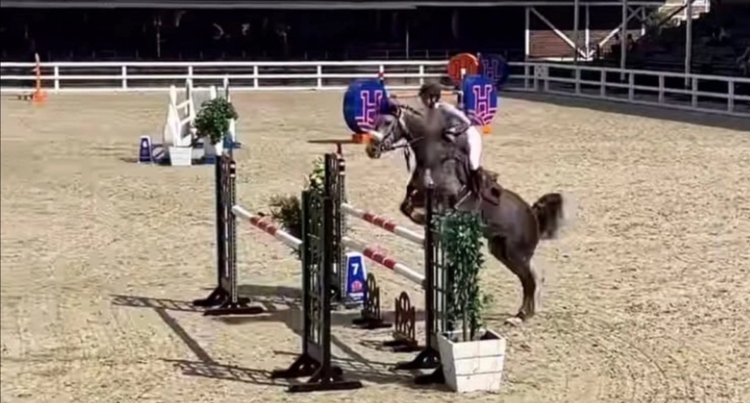 Сборная россии по конному спорту 2024