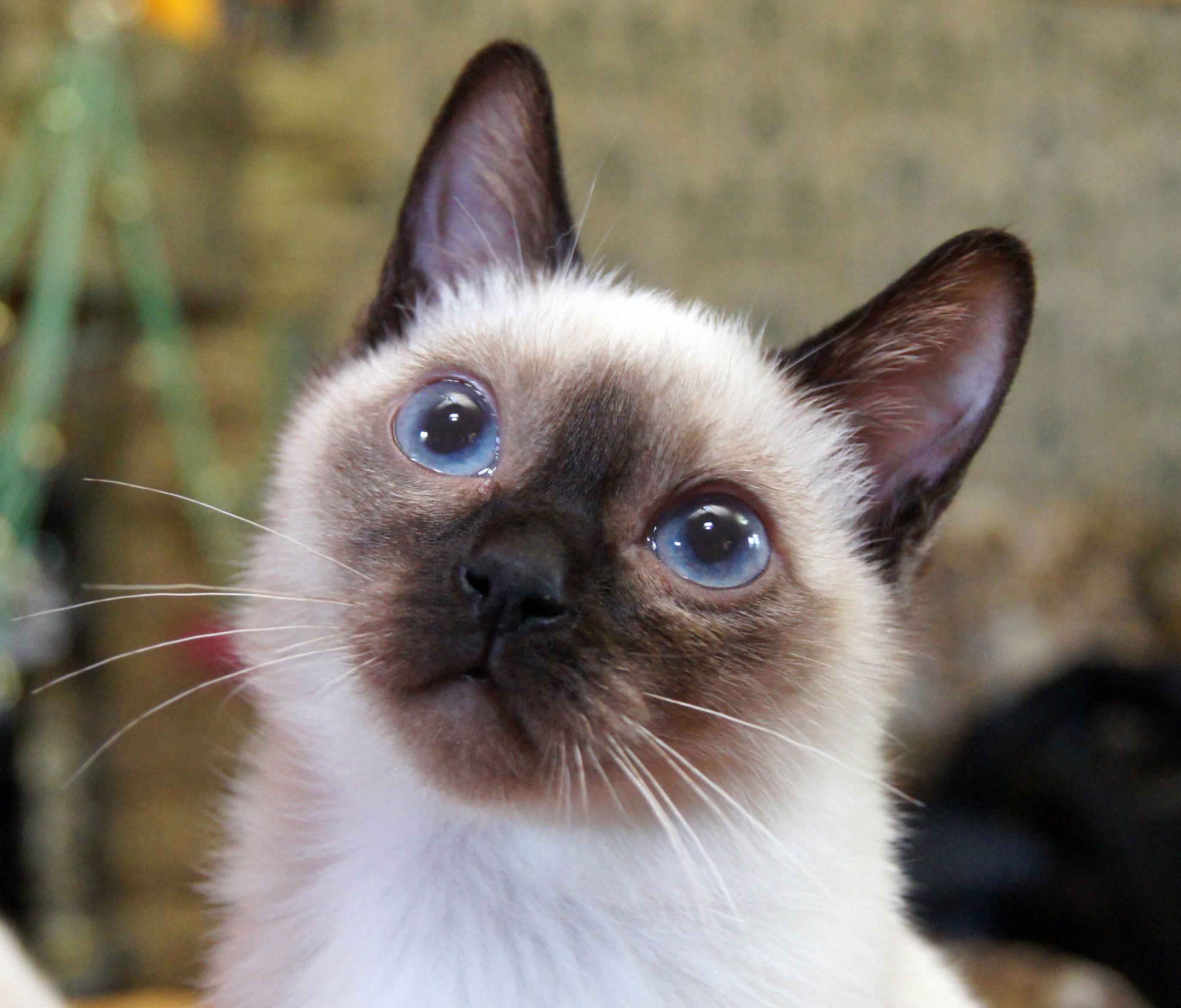 Наше время - Все публикации