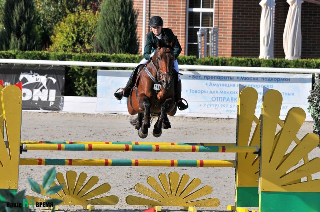 Гостиница голден хорс. Голден Хорс Таганрог. Golden Horse Таганрог. Конный клуб Таганрог Голден Хорс. КСК Голден Хорс Таганрог конюшни.