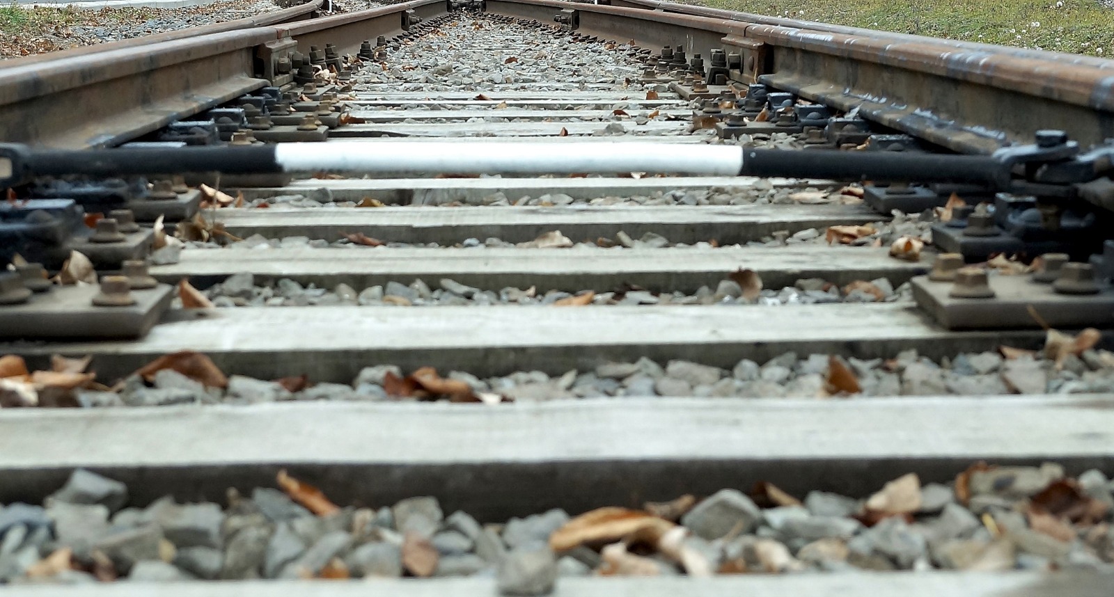 Утверждены льготные тарифы на грузоперевозки по железным дорогам в ...