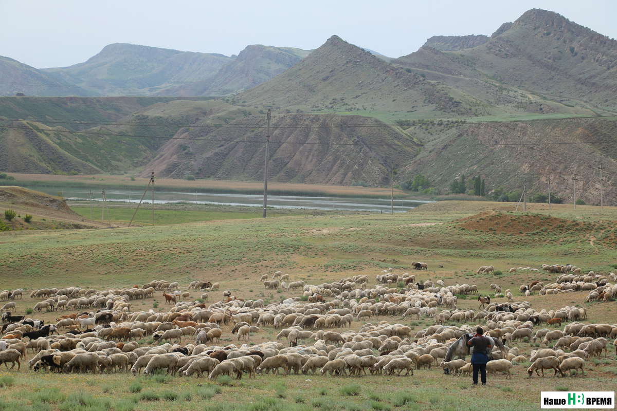 «Главное — стереотип побороть»: местные жители рассказали о развитии туризма в Дагестане
