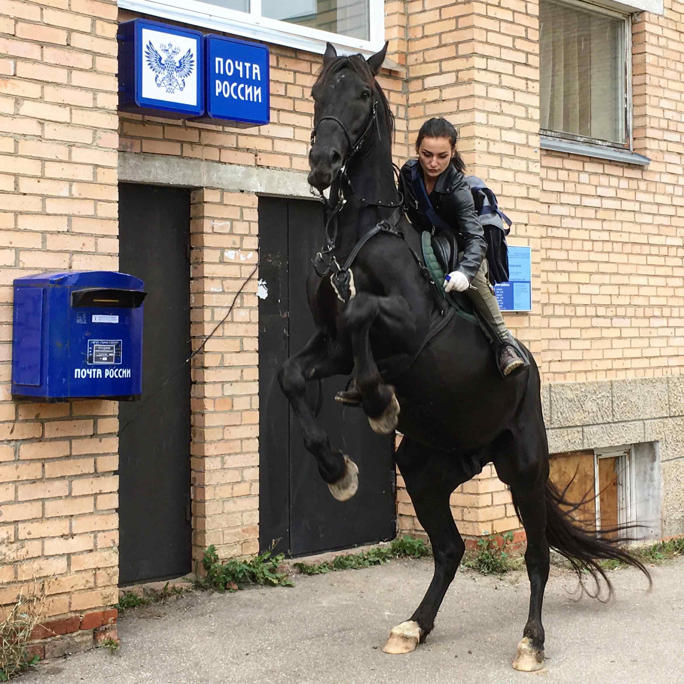 Ебет лошадь 