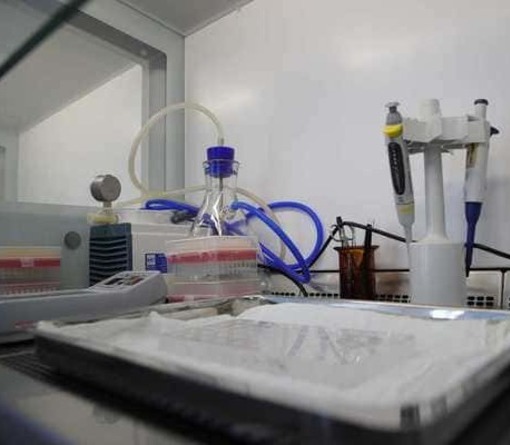 Суточный прирост новых случаев коронавируса на Дону вырос до 123 человек