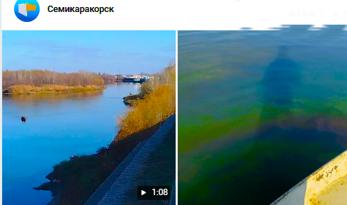  В затоне у Семикаракорска обнаружили мазут