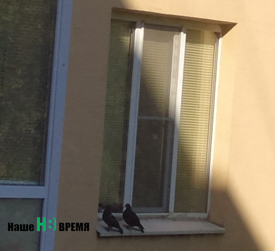 Любопытство не порок.jpg Любопытство не порок.jpg