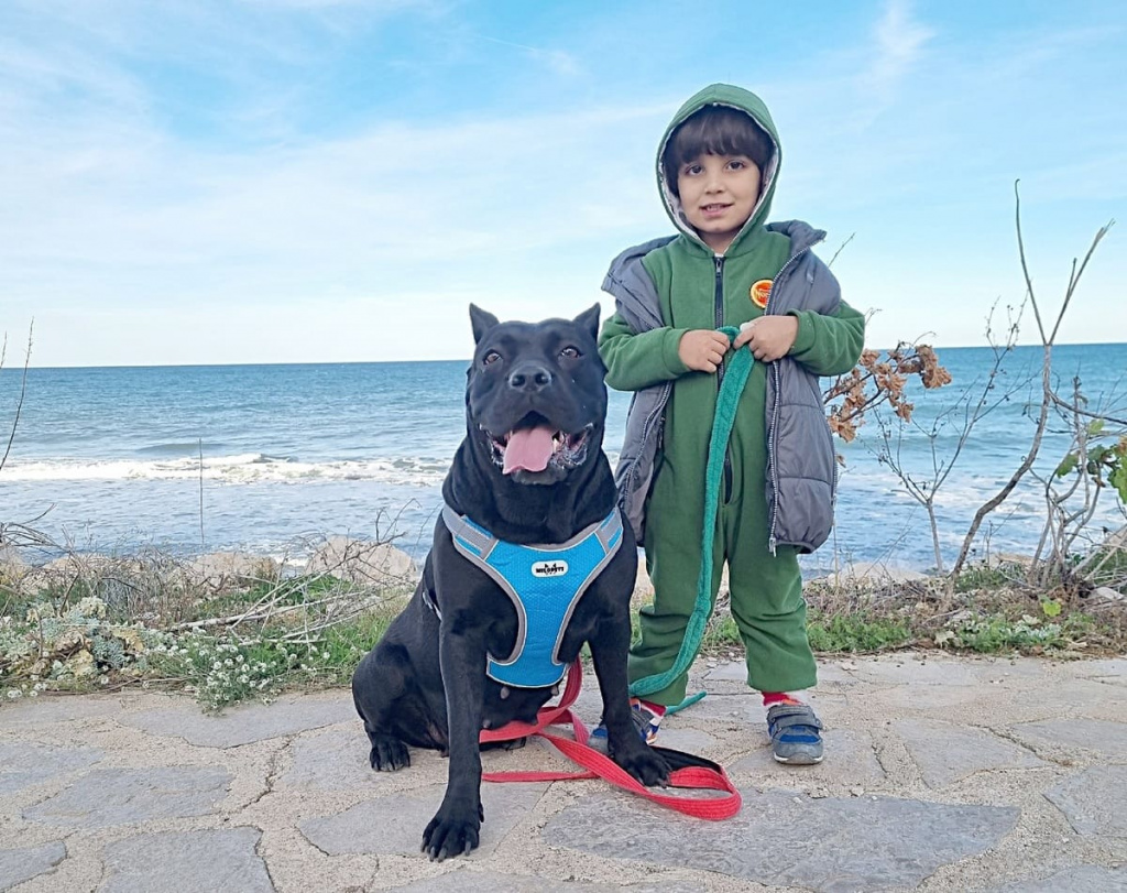 Кристина МИРХАЙДАРОВА: «Канарейка в теле быка» – вот все, что надо знать о Си. Спасательница котят и гроза всех печенек. Несмотря на свои габариты и грозный нрав по отношению к чужим, собака с невероятно большим сердцем. Моя душа. Моя любовь».