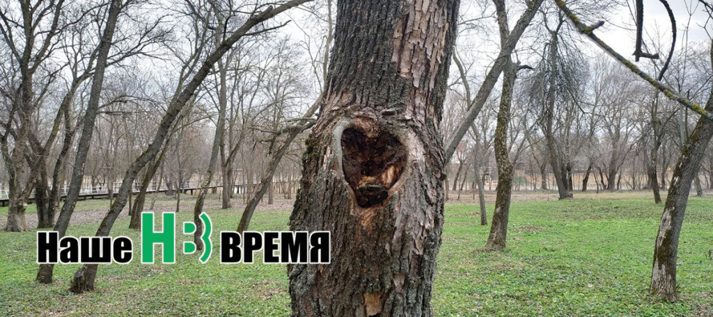 Вырезали сердце. Вырезали сердце.jpg