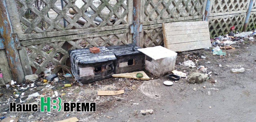 три поросенка.jpg
