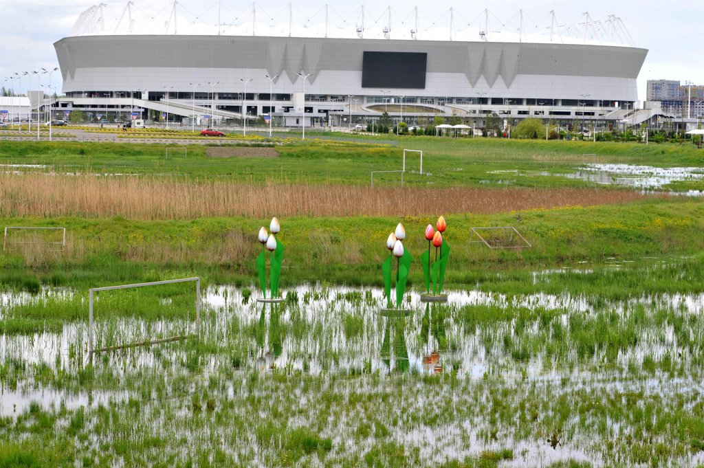 Зеленый каркас Ростов Арена №2.jpg