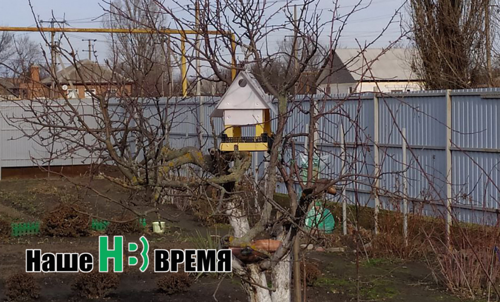 Домик на дереве. Домик на дереве.jpg