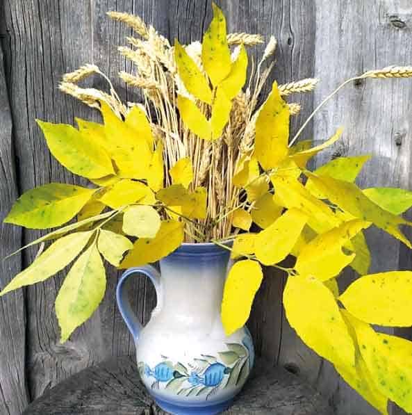 Оксана ГАРКУШИНА: «Осень нам рисует натюрморты».