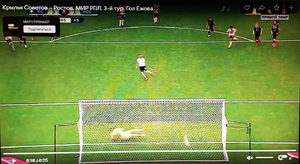 Роман Ежов ставит точку.