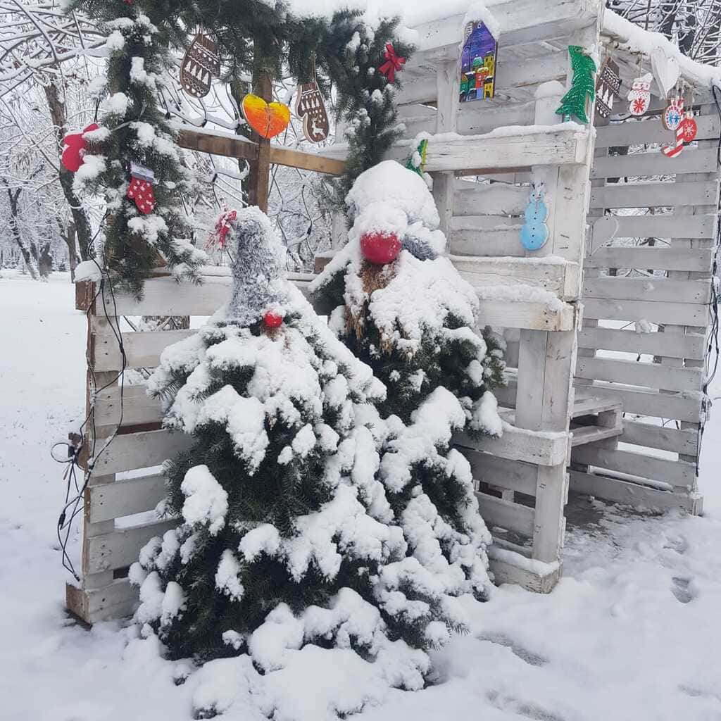 фото 3 Живые елочки тоже принарядились..jpg