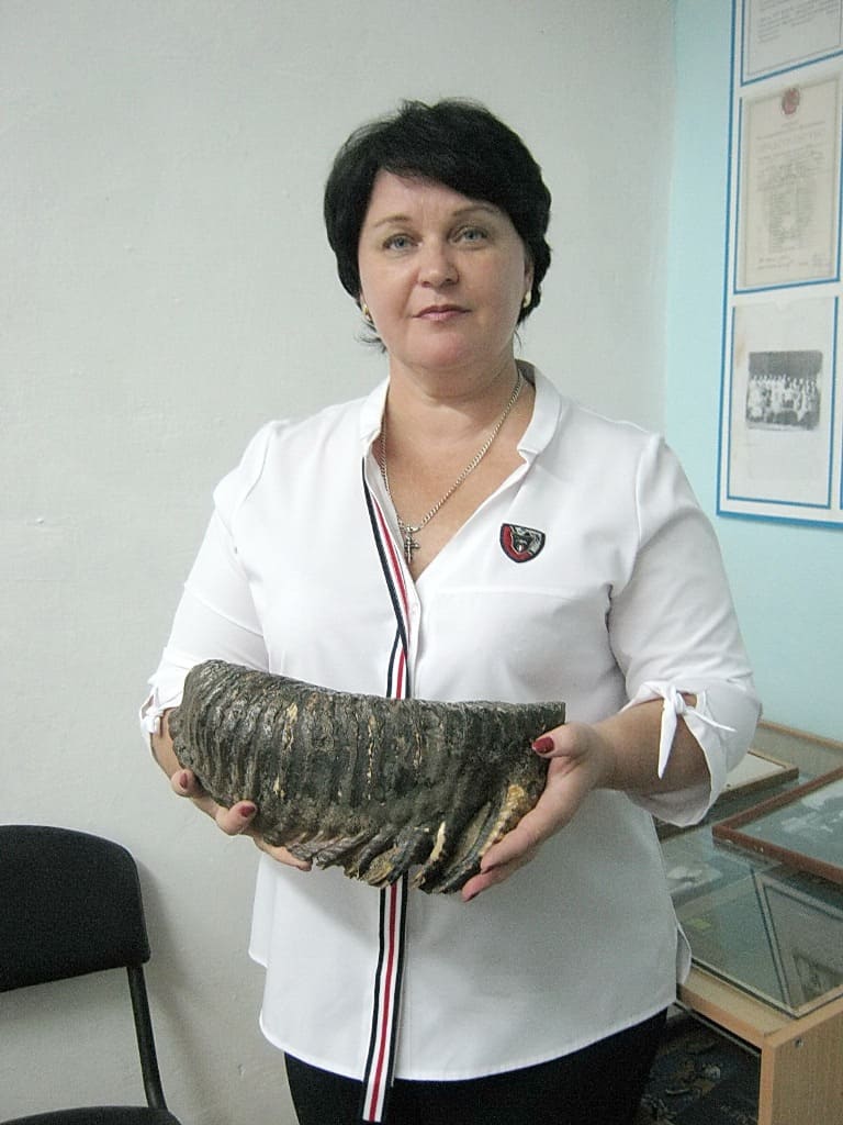 Елена Владимирова принесла в музей зуб мамонта Елена Владимирова принесла в музей зуб мамонта