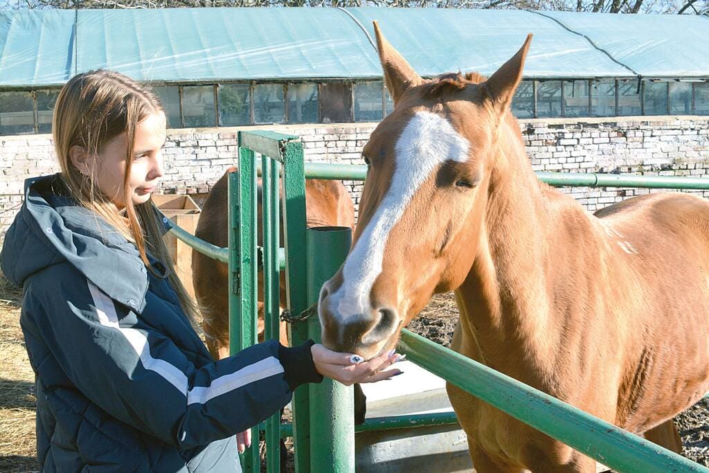 Полина ГУДКОВА занимается в экоцентре с самого детства. Ее главная любовь, гордость директора — донские лошади. Эта оказалась сначала такой характерной, что Полина не хотела с ней работать, а теперь — занимает они вместе занимают места на соревнованиях. Забота сделала животное ручным. 