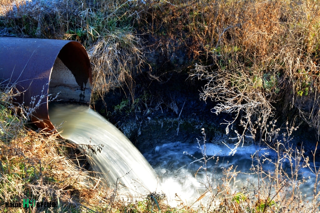Если на дороге вода хотя бы на время замерзла, то из трубы течет с большой скоростью круглый год. Все эти нечистоты попадают в реку… Если на дороге вода хотя бы на время замерзла, то из трубы течет с большой скоростью круглый год. Все эти нечистоты попадают в реку…