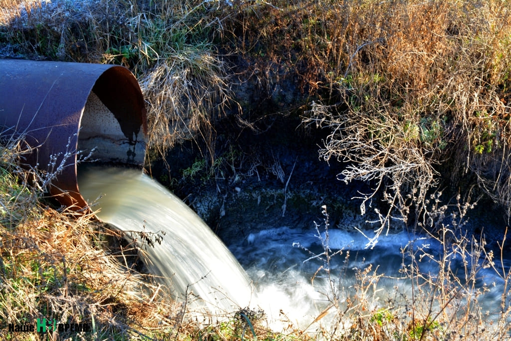 Если на дороге вода хотя бы на время замерзла, то из трубы течет с большой скоростью круглый год. Все эти нечистоты попадают в реку…