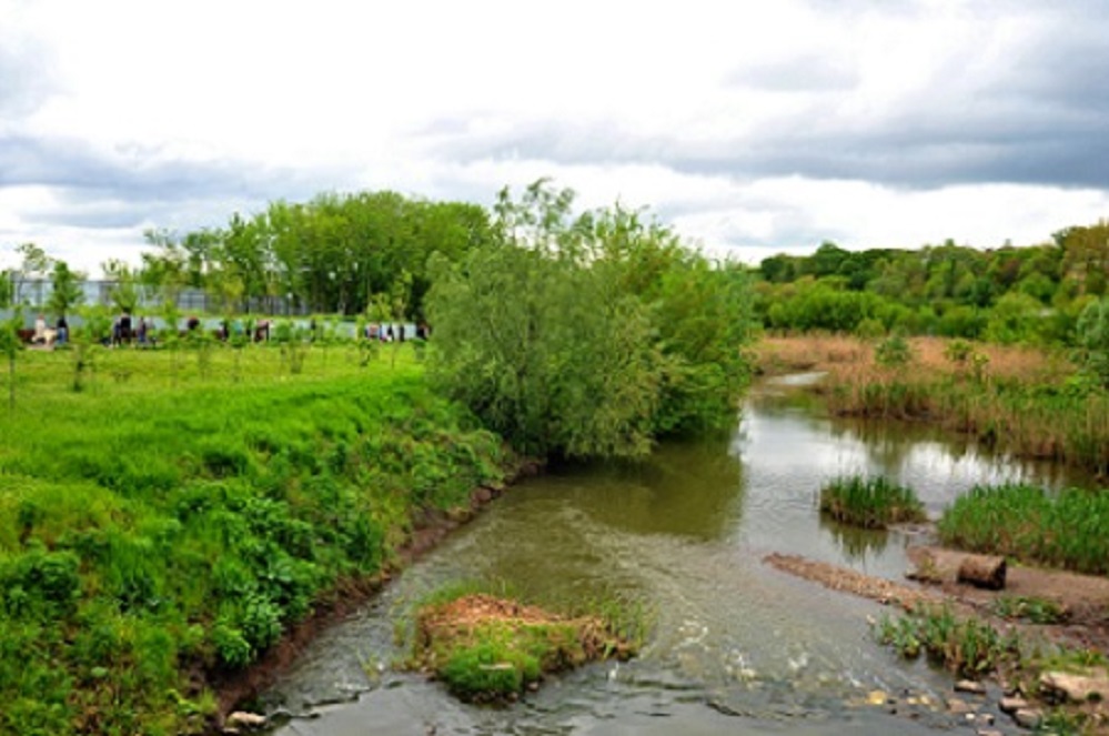 Зеленый каркас 1 миля.jpg