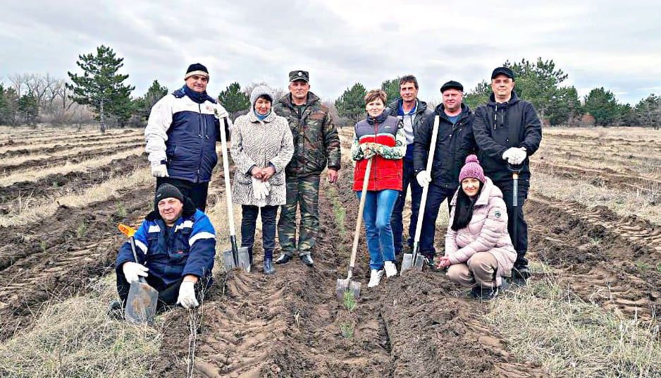 Свою лепту в восстановление леса внесли депутаты собрания депутатов Коксовского сельского поселения.