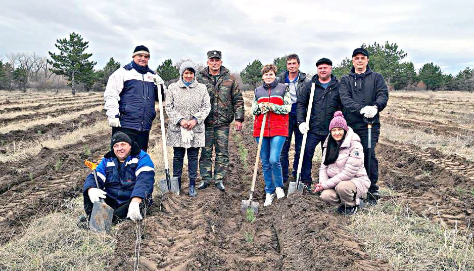 Свою лепту в восстановление леса внесли депутаты собрания депутатов Коксовского сельского поселения. Свою лепту в восстановление леса внесли депутаты собрания депутатов Коксовского сельского поселения.
