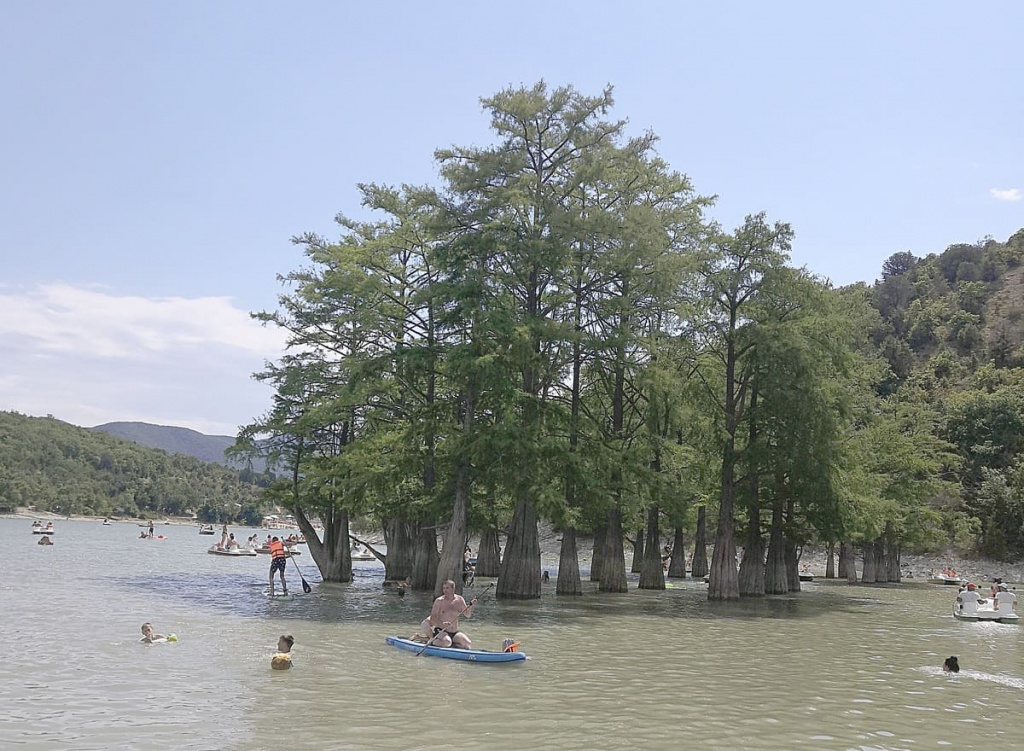 Три десятка болотных кипарисов растут прямо в озере Сукко.