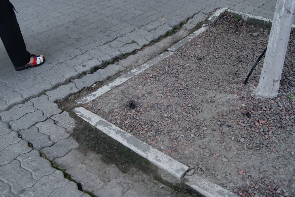 Чисто русские проблемы