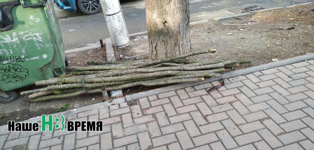 Порубили все дубы на гробы.jpg