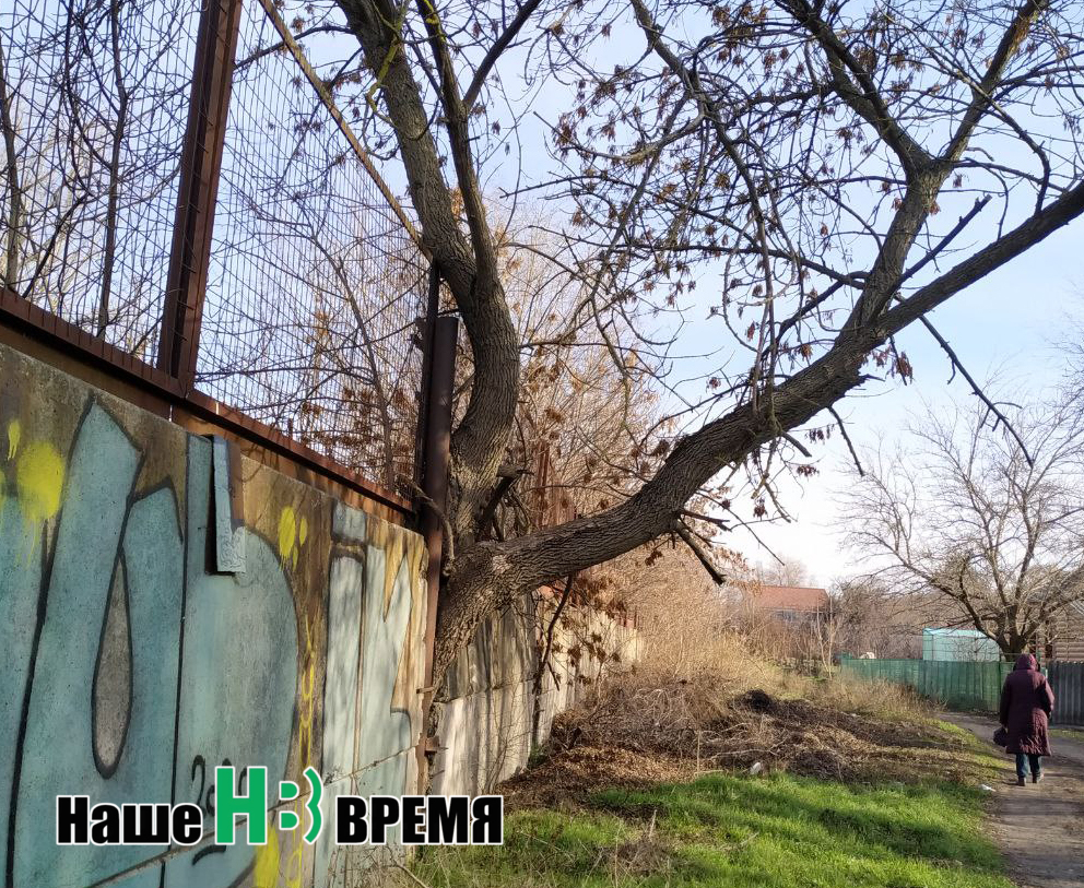 Из забора. Из забора.jpg