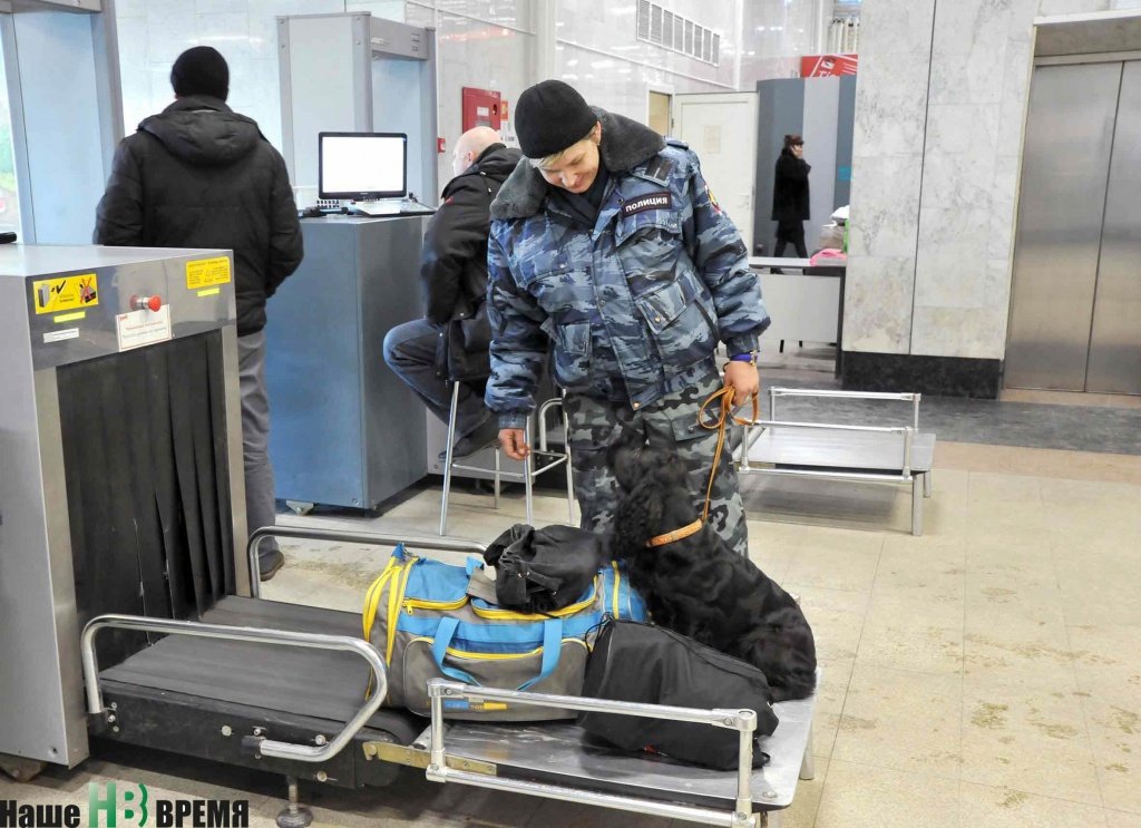 После ответственной службы лучшая награда для Кейси – похвала хозяйки и возможность поиграть с любимой резиновой игрушкой Апортиком.