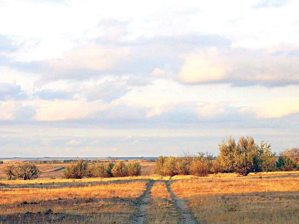 Ирина ЕВКИНА. Дорога в осень. Ирина ЕВКИНА. Дорога в осень.