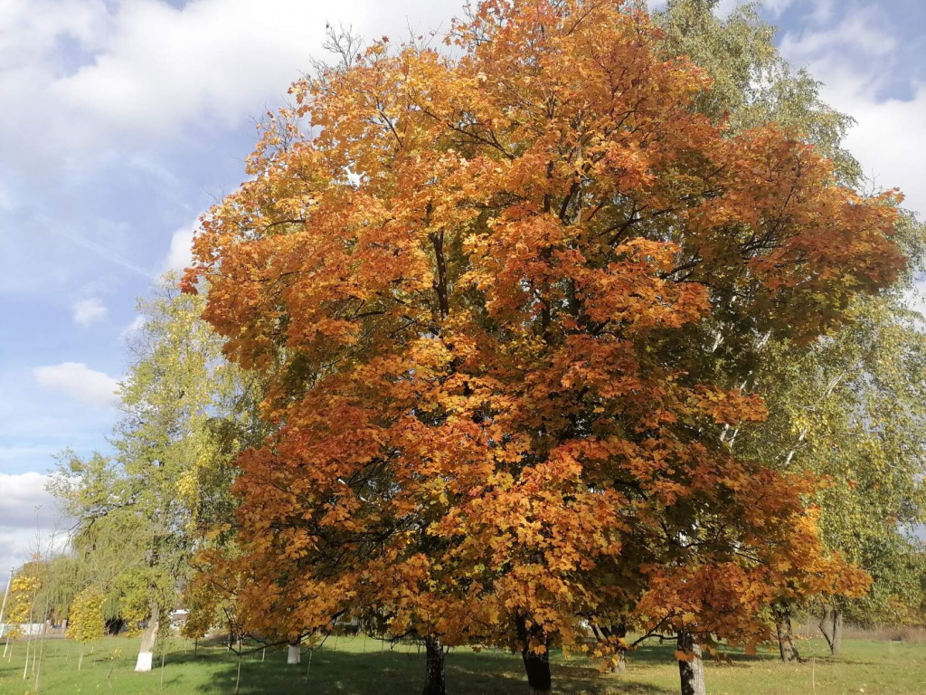 Максим СОЛОМЩУК: «Для меня осень — это в первую очередь яркие пейзажи. Глаз радуется, глядя на эту красоту».