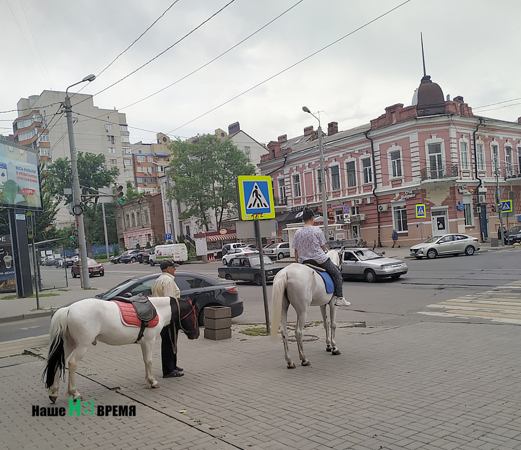 А оленя лучше.jpg