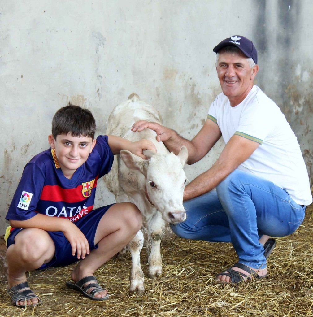Давид пока больше тяготеет к технике, но Ахмет Джафаров надеется, что в будущем передаст молочную ферму своему младшему сыну.