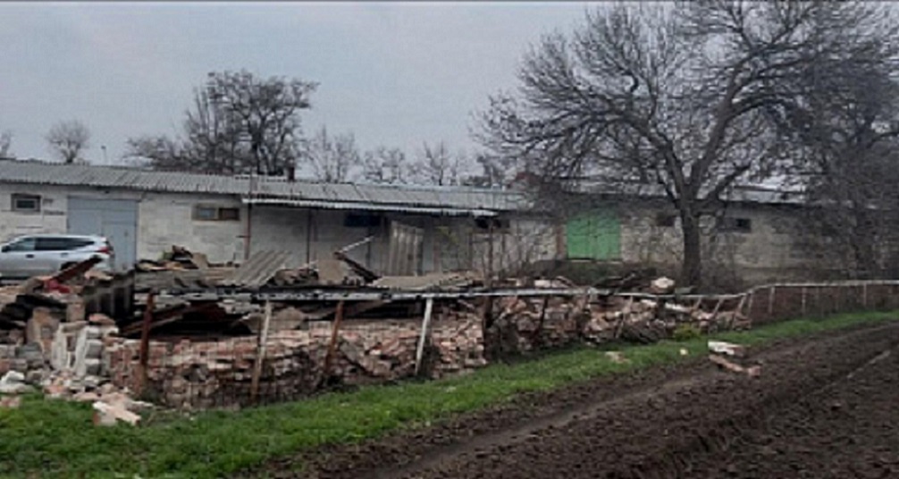 Ипподром конюшни.jpeg