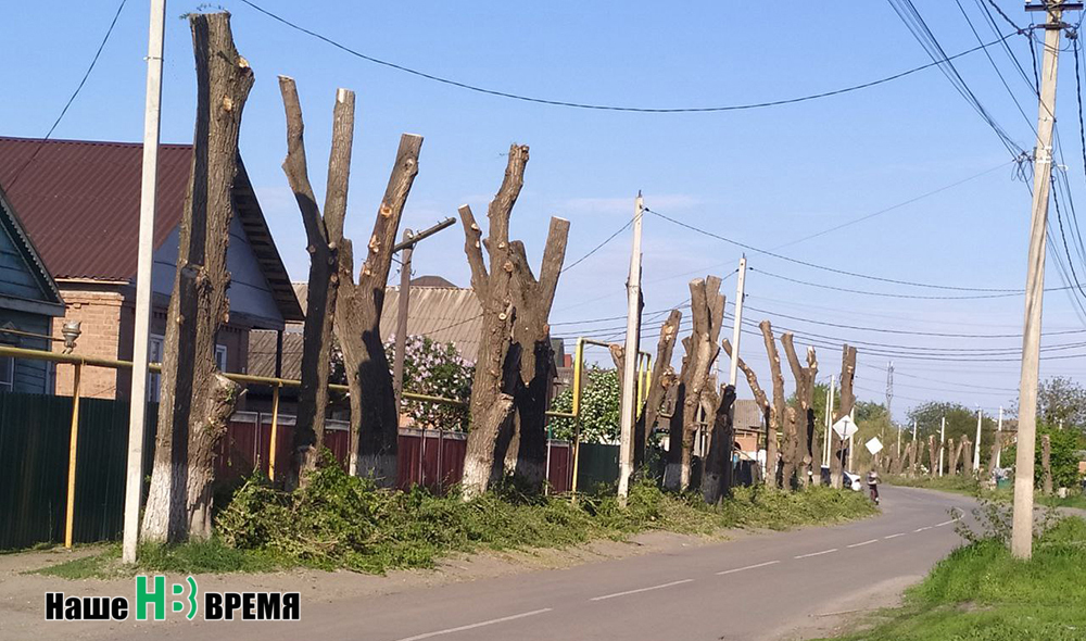 Стрижка и брижка.jpg
