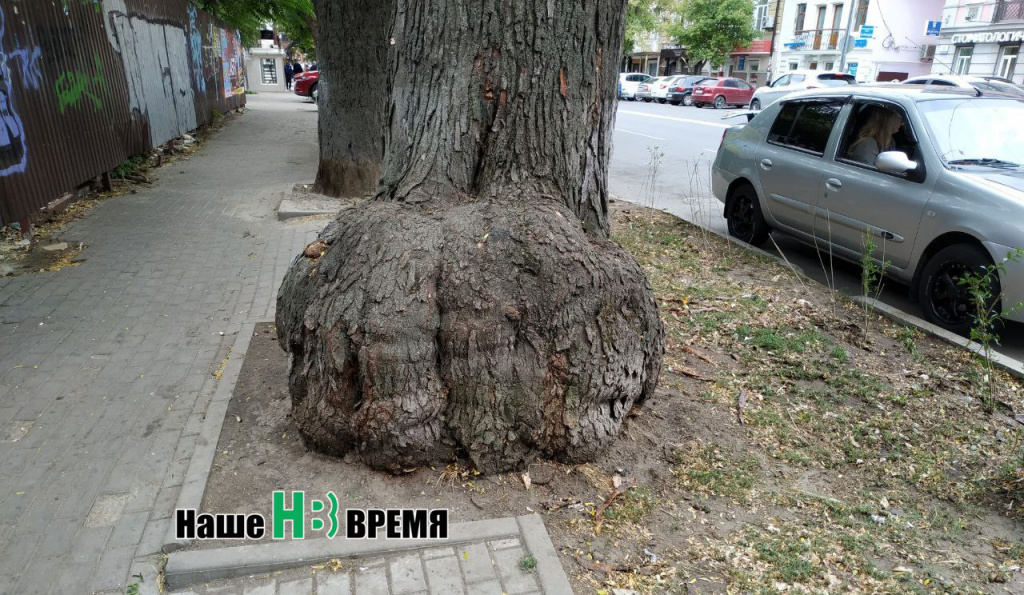 Кринолин.jpg Кринолин.jpg