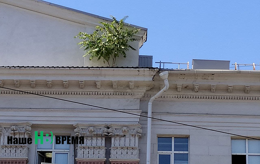 Приказано выжить.jpg Приказано выжить.jpg