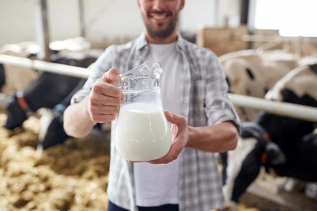 Производство молока в Ростовской области увеличилось на 35 %, до 227 тысяч тонн.
